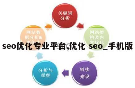 seo优化专业平台,优化 seo_手机版