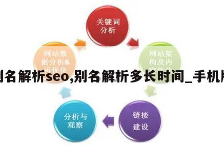 别名解析seo,别名解析多长时间_手机版